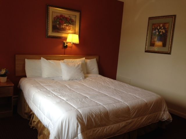 Manchester Inn Zimmer foto